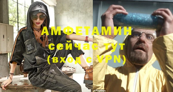 СК Алексин