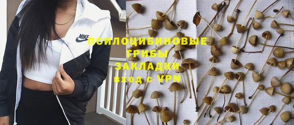 ешки Абдулино
