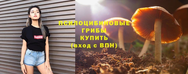 метадон Надым